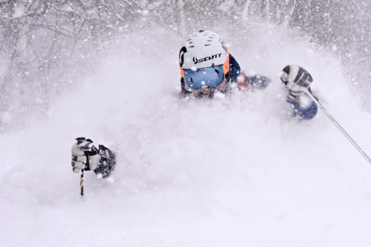 33080242610_bd26976d64_o